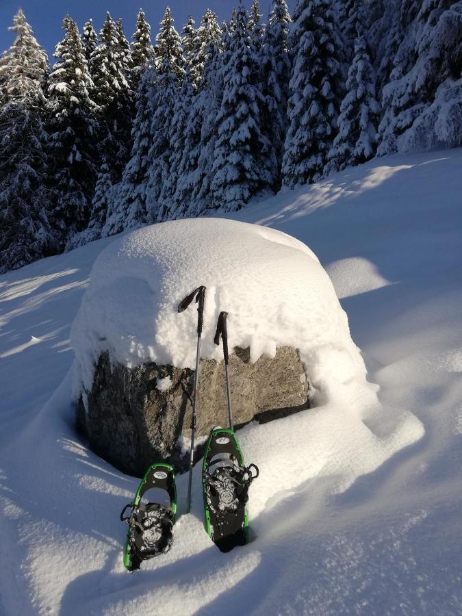 Apart Waldesruh Arzl im Pitztal Exterior photo